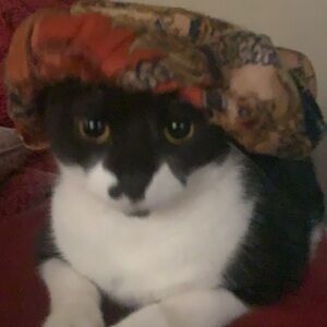 Meet your Posher, Lynn